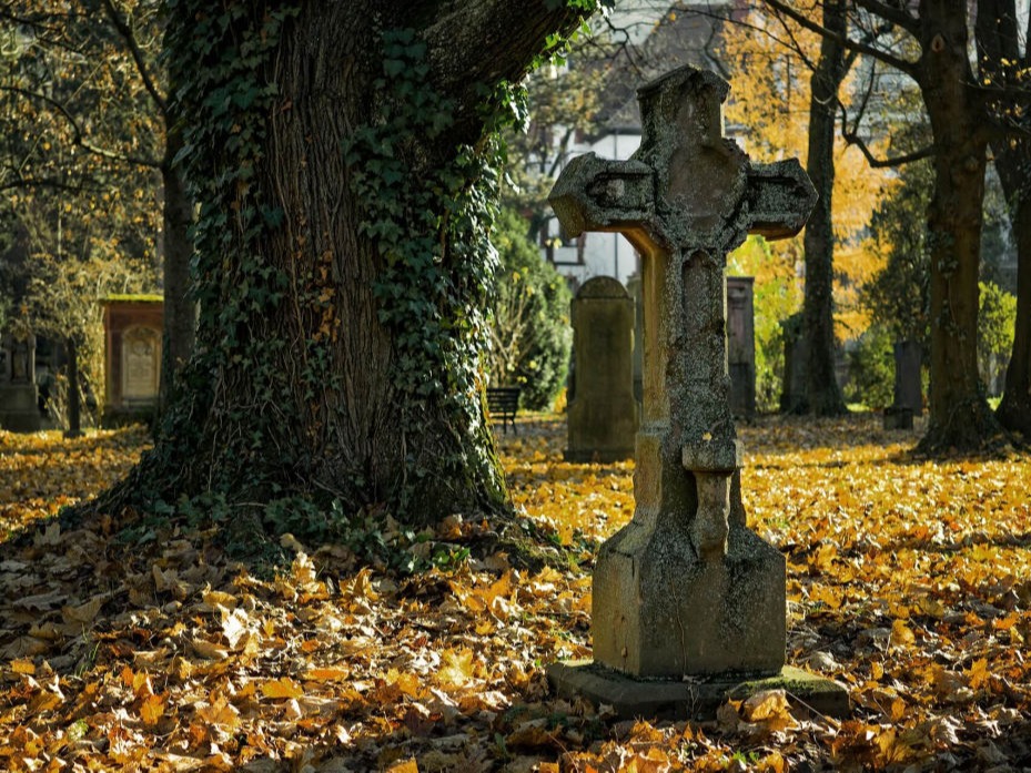 Friedhof mit Baum und Grabstelle